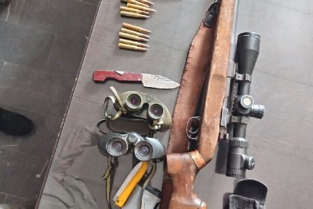 دستگیری ۲ متخلف شکار و صید در میناب