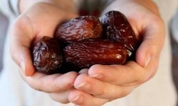 گزارش مهر از برداشت «مجول» مرغوبترین خرمای جهان در رودان