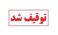 ضربه پلیس بندرعباس به شبکه قاچاق سوخت با توقیف ۶ خودروی شوتی