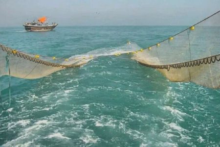 توقیف ۲ شناور صید ترال و دستگیری ۱۶ ملوان متخلف در جاسک